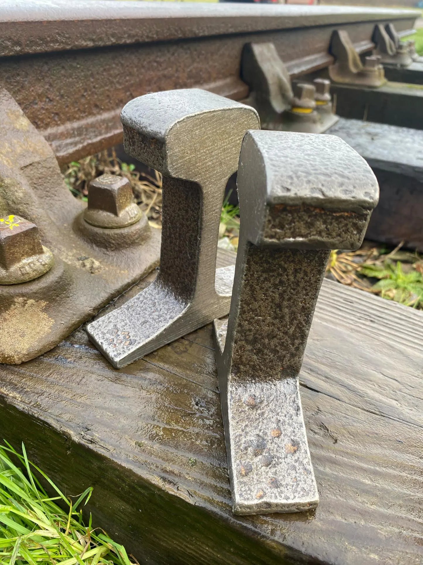 Character Rich Book Ends