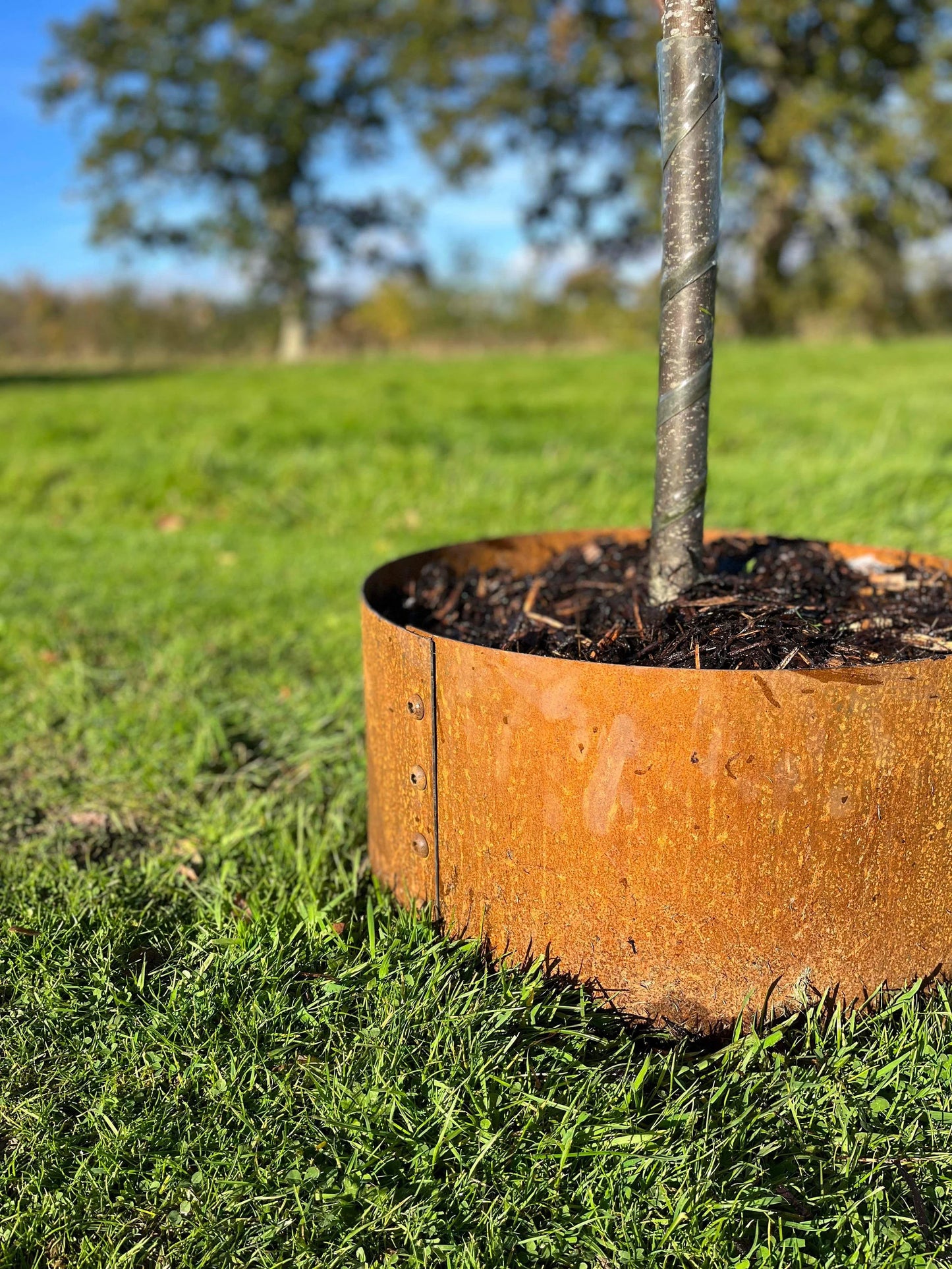 Corten hand riveted tree surrounds